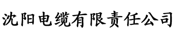 亚洲免费综合色在线视频电缆厂logo